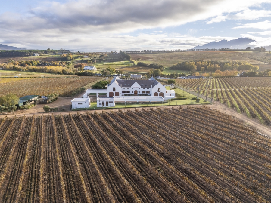 7 Bedroom Property for Sale in Stellenbosch Farms Western Cape
